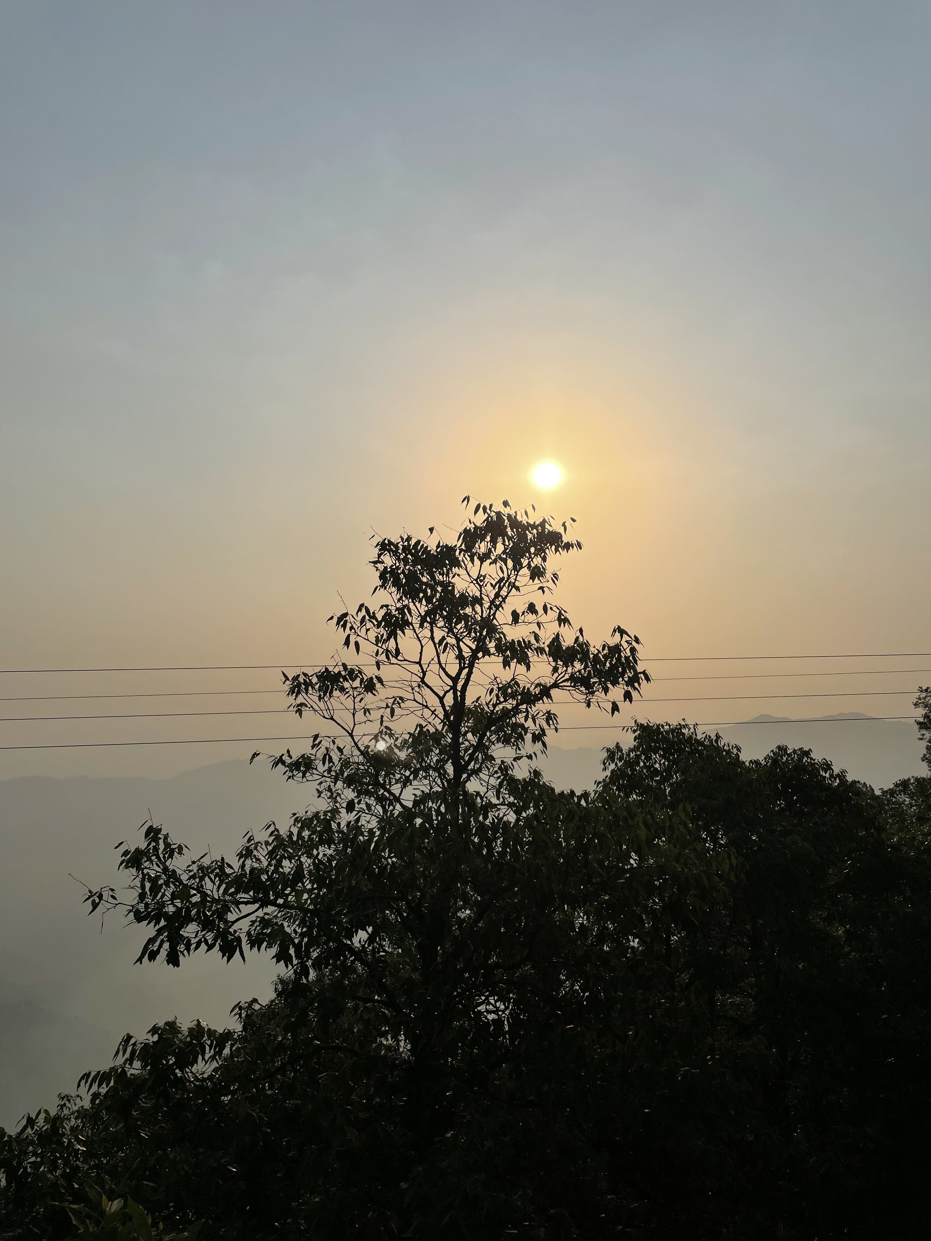 DHRUV thapliyal