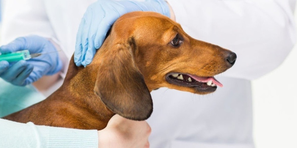 Veterinary Vaccines Market Competition Analysis: Strategies, Key Players, and Trends Shaping Industry Dynamics