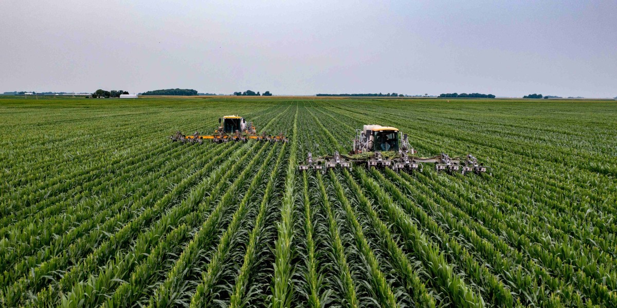 The Debate: Can Gibberellic Acid Meet the Needs of Future Farming Challenges?