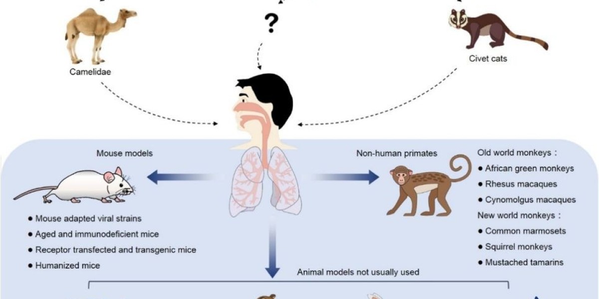 MERS-CoV Animal Models to Support Antiviral Research