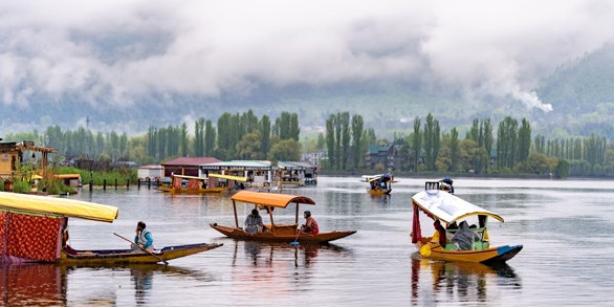 Discover the Serenity of Kashmir with Dodhpathri and Yusmarg Tour by Peacock Holidays