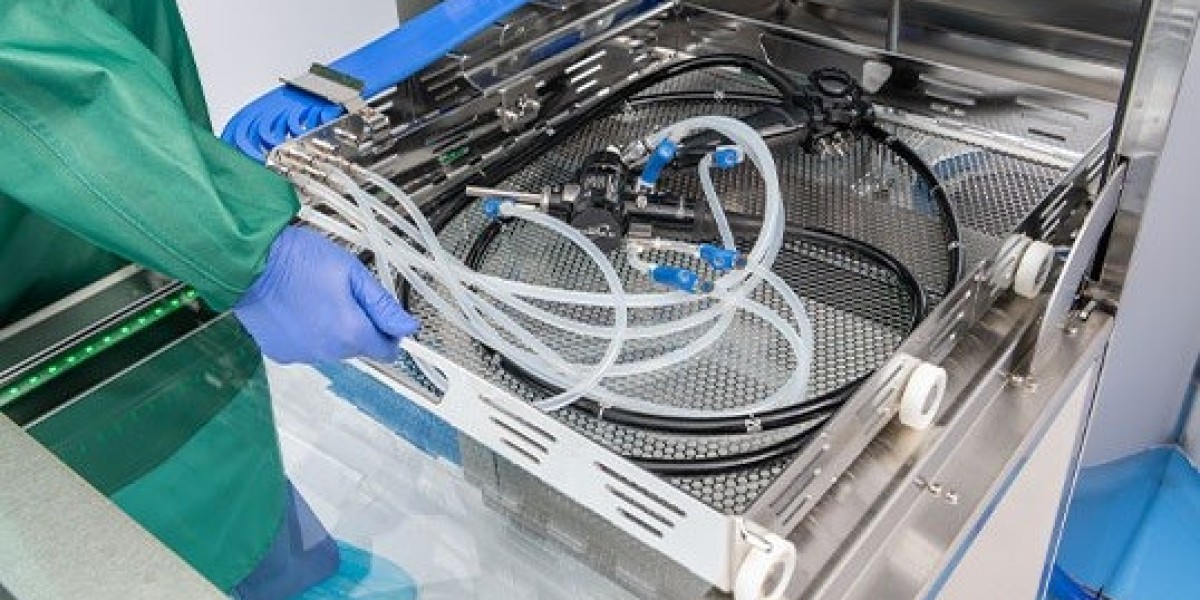 Automated Endoscope Reprocessing Market: Drivers, Trends, and Growth Insights for 2024 and Beyond