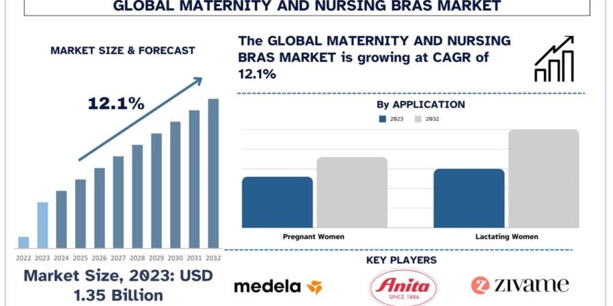 Maternity and Nursing Bras Market Analysis by Size, Share, Growth, Trends, Opportunities and Forecast (2024-2032)