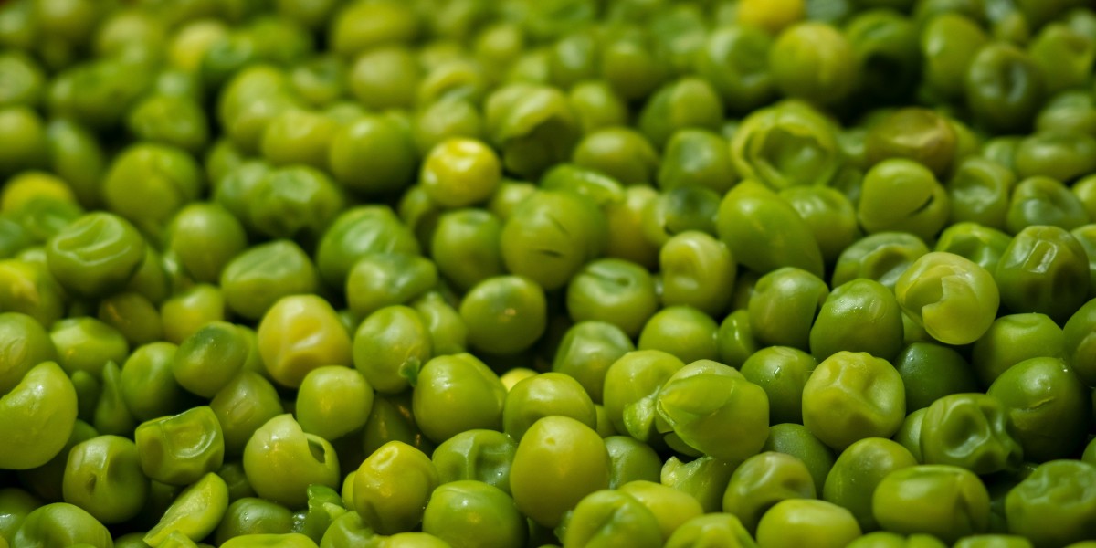 Pea Fiber Market: Key Drivers Behind the Surge in Plant-Based and Fiber-Rich Foods