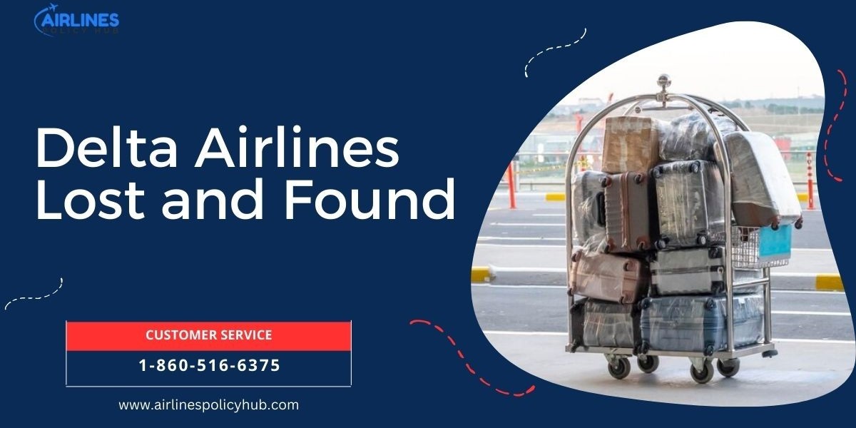 Delta Airlines Lost and Found