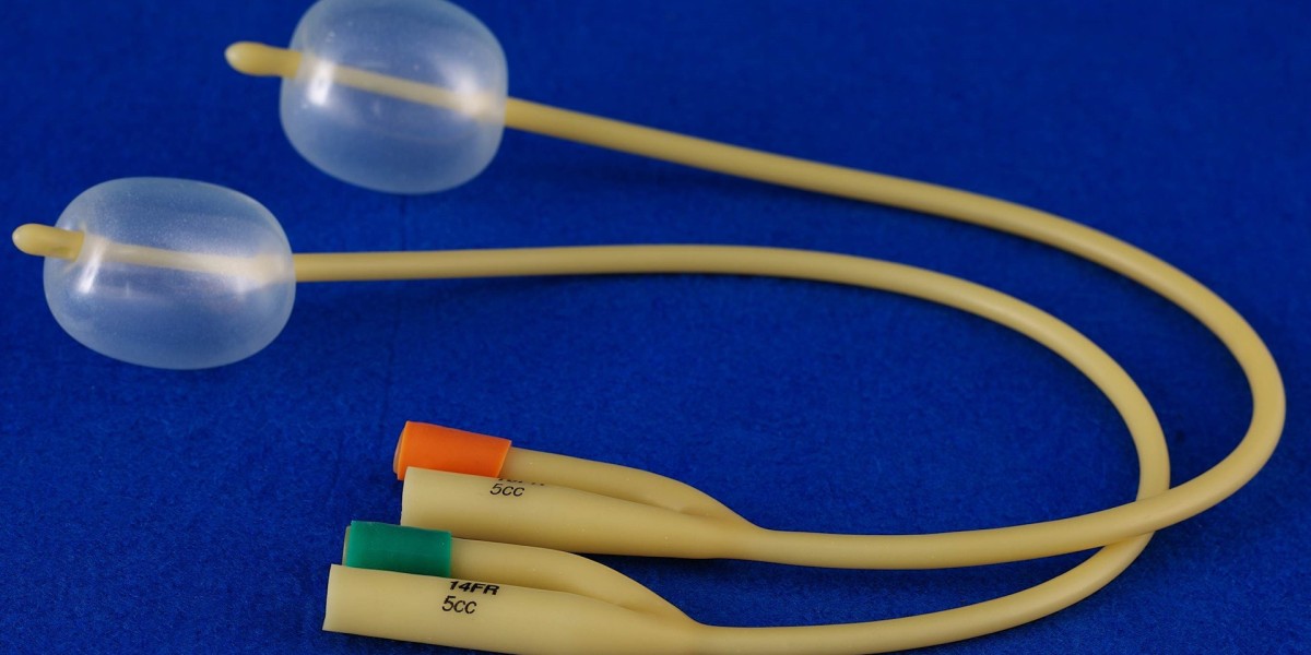 Urinary Catheters Market Trends and Competitive Landscape: Understanding the Forces Shaping Market Competition