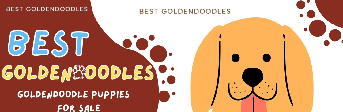 Best Goldendoodles
