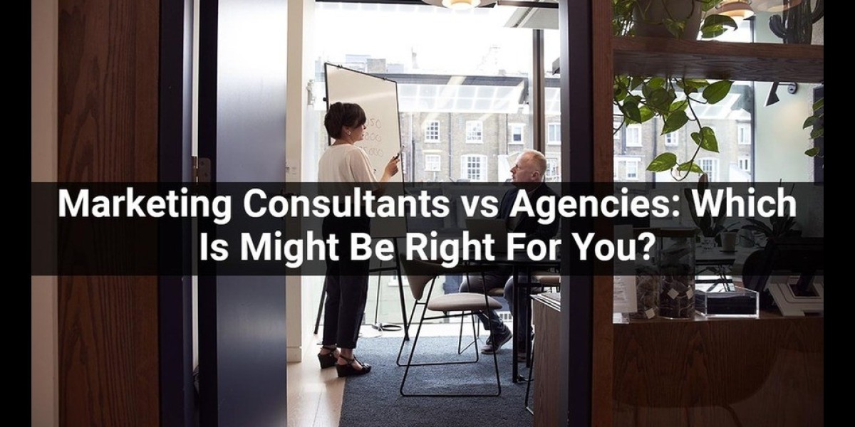 Marketing Consultants vs Agencies: Which Is Might Be Right For You?