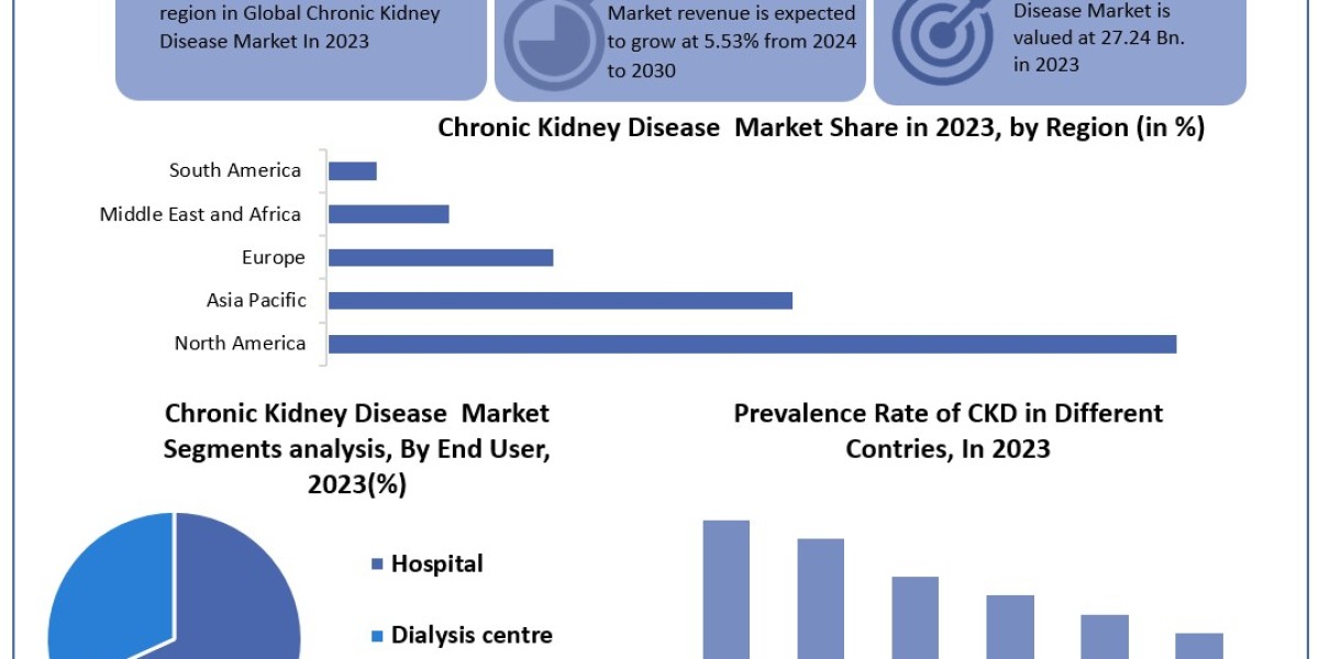 Chronic Kidney Disease Market 	Data Decoded: Segmentation, Outlook, and Overview for Business Success | 2024-2030