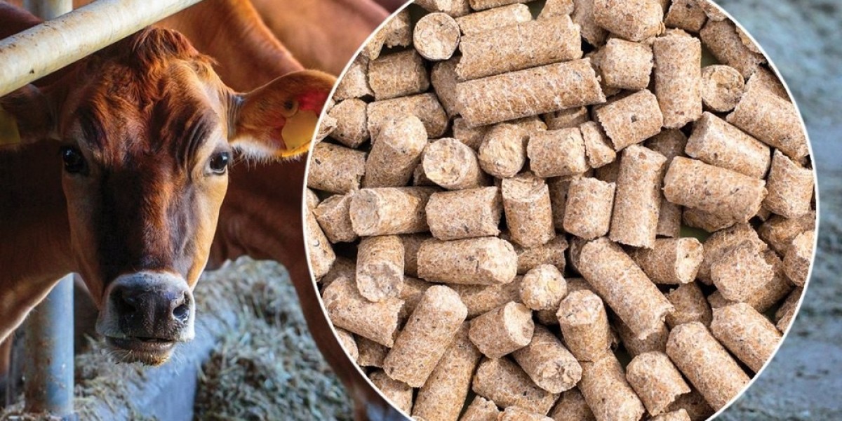 Singapore Animal Feed Market: Trends, Growth, and Opportunities