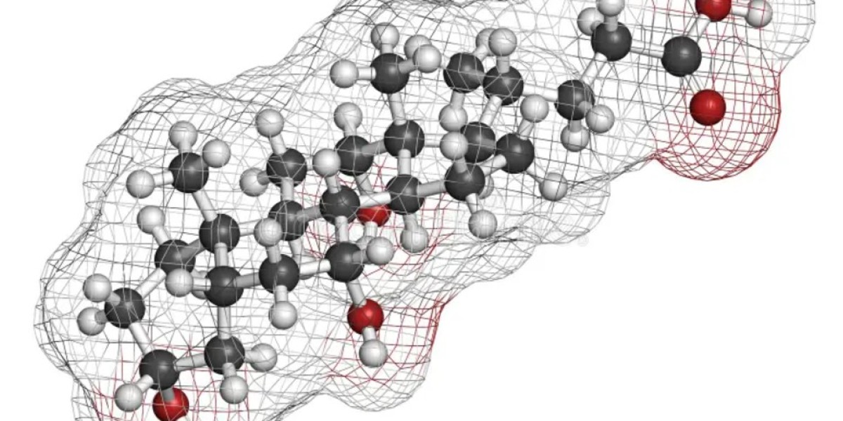 Sequestrant Market Overview and Forecast: Key Factors Impacting Growth and Development