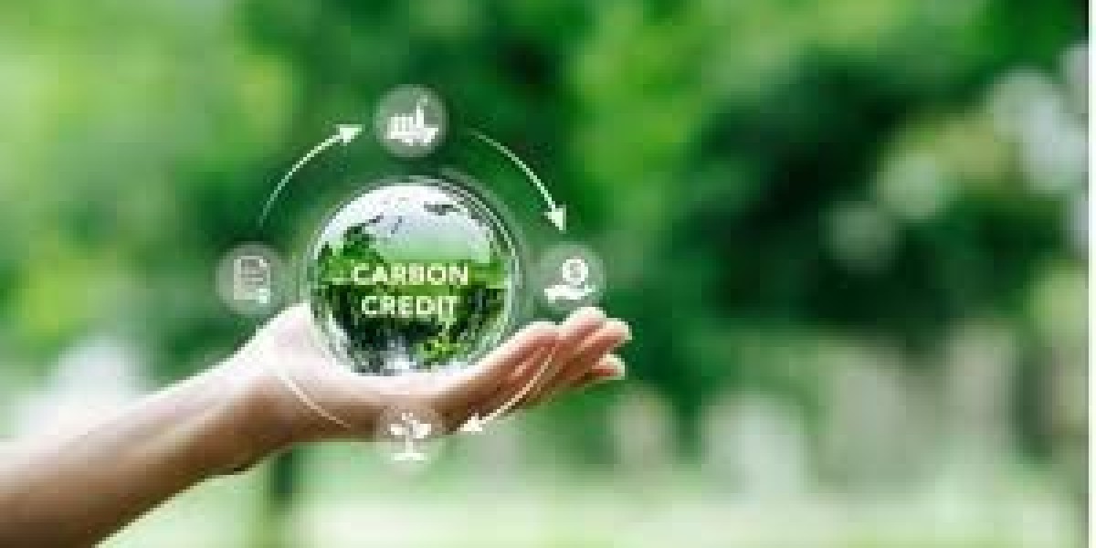 How Does the Carbon Credit Exchange Affect Developing Countries?