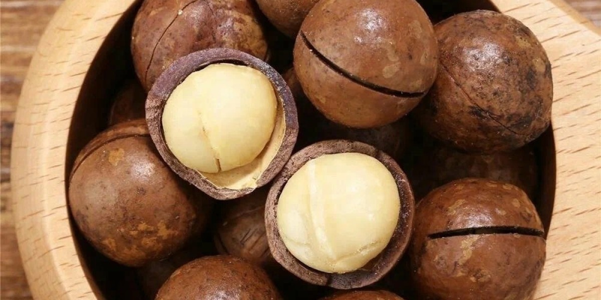 Macadamia Market Developments: Rising Demand, Innovations, and Trends Shaping the Nut Industry