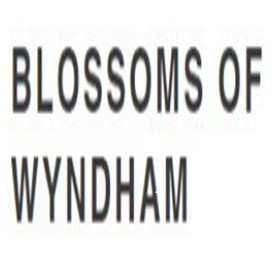 blossomof wyndham