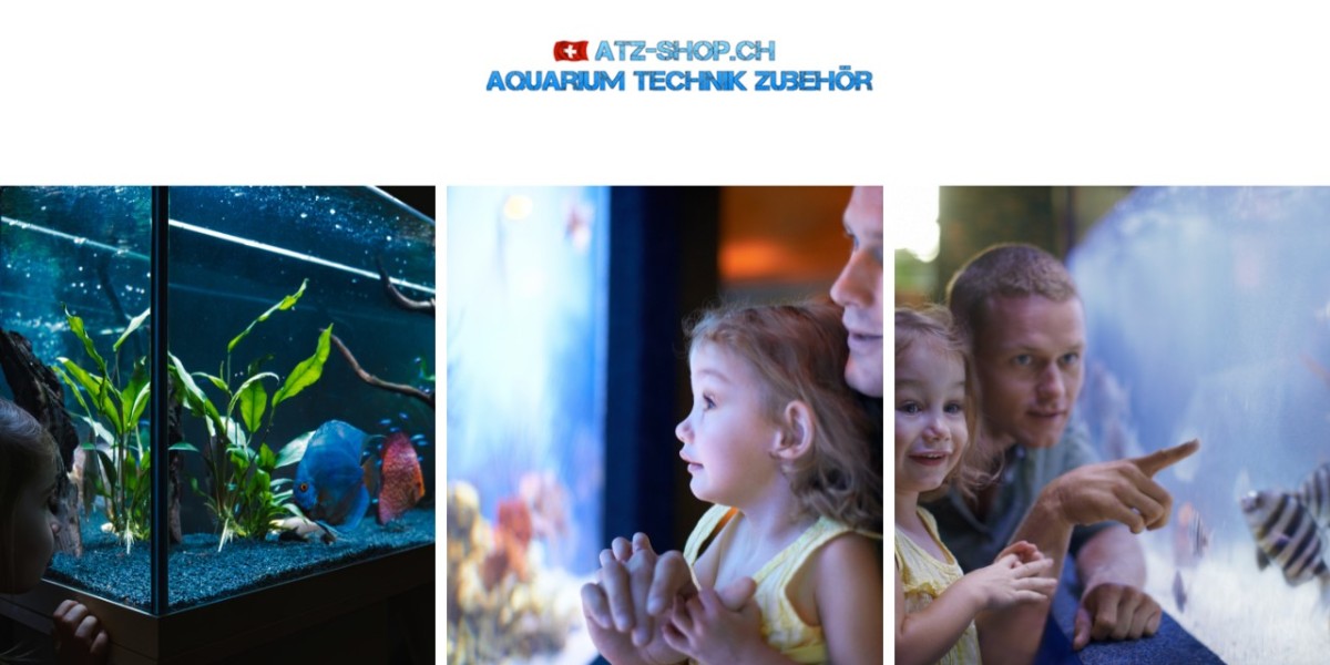 Aquarium für Anfänger: So wählst du das richtige Aquarium