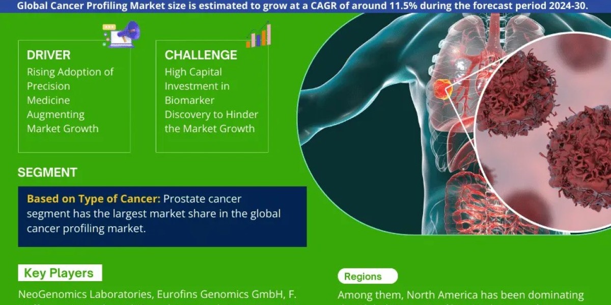 Cancer Profiling Market Overview: Size, Growth Factors, and Comprehensive Analysis for 2024-2030