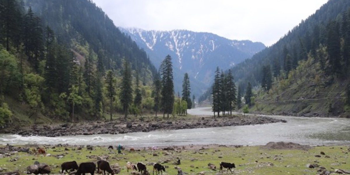 Explore Paradise with the Perfect Kashmir Itinerary