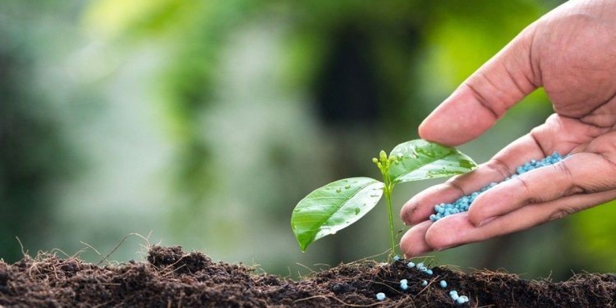 Mycorrhizae-Based Biofertilizers Market Trends: Growth, Applications, and Future Prospects