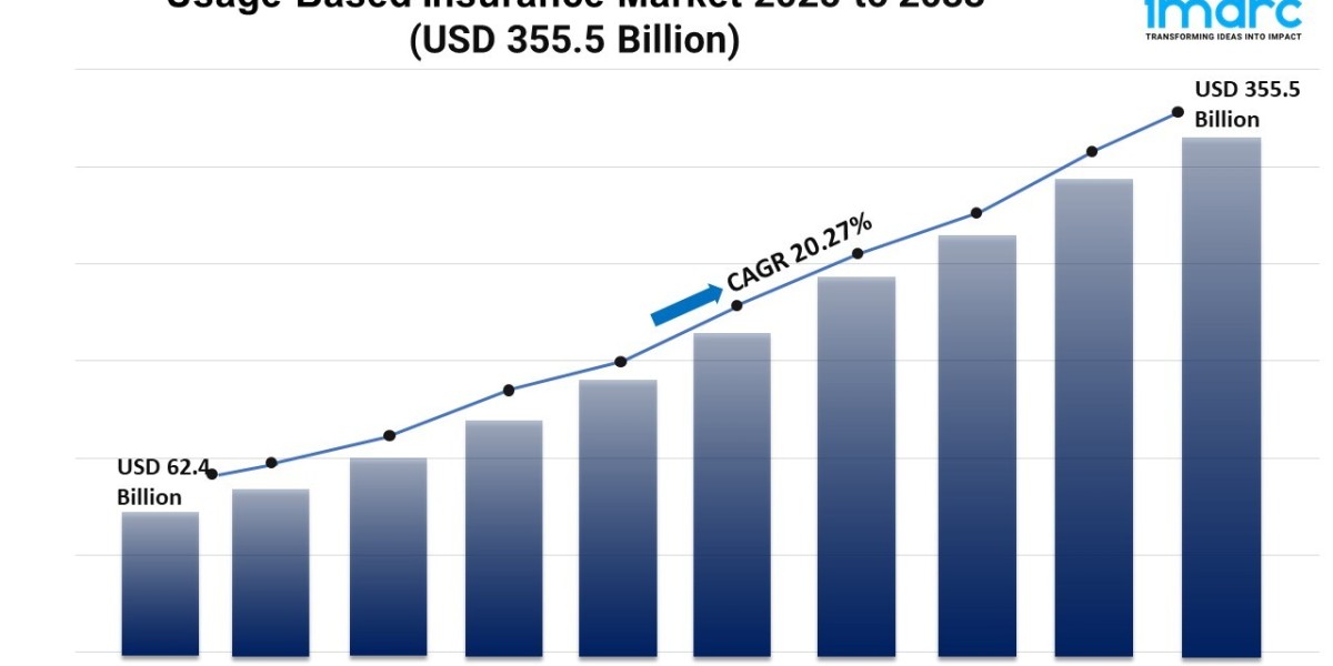 Usage-Based Insurance Market Growth, Size, and Trends Analysis 2025-2033