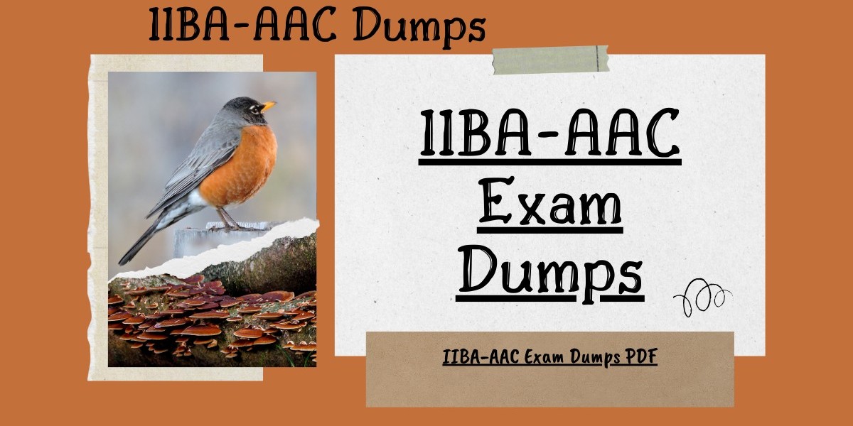 Maximize Your Score with IIBA-AAC Exam Dumps PDF