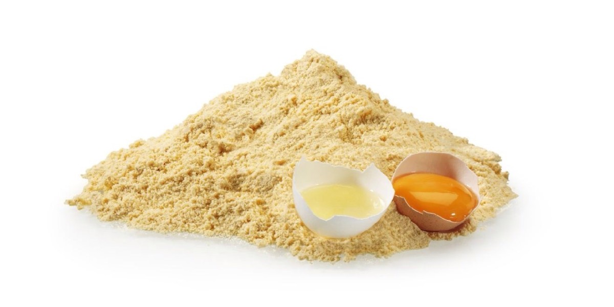 Dried Eggs Market Trends: Key Developments and Technological Advancements Shaping the Industry's Future Outlook