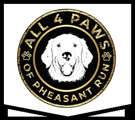 All 4 Paws
