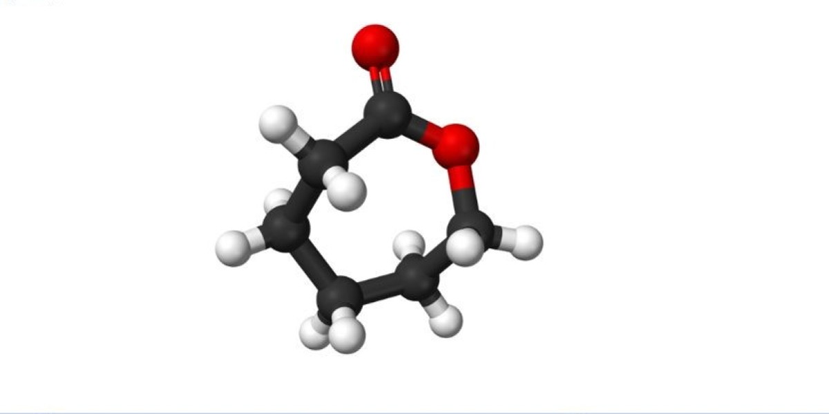 Polycaprolactone Manufacturing Plant Project Report 2025: Key Insights and Plant Setup