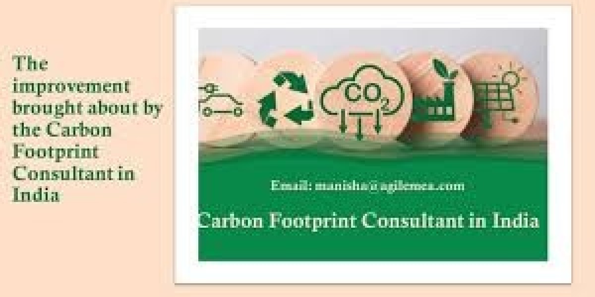 Understanding the Importance of Carbon Footprint Reduction in India