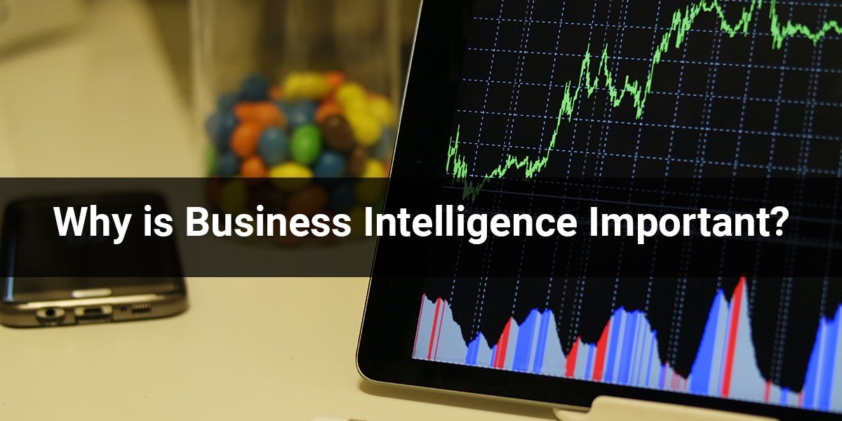 Why is Business Intelligence Important?