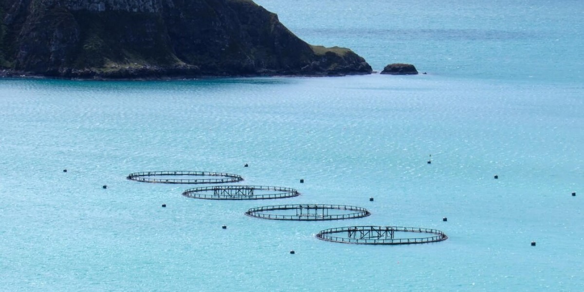 Exploring the Europe Precision Aquaculture Market: Key Trends, Growth Drivers, and Future Potential