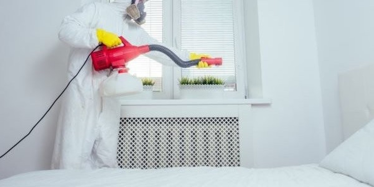 Three Promising Reasons to Consider a Single Room Heat Treatment Rental for Bed Bugs!