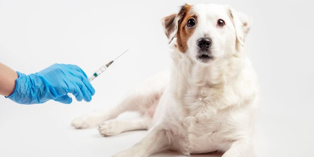 Veterinary Vaccines Market Disruptions: Analyzing Transformative Trends and Their Impact on the Industry