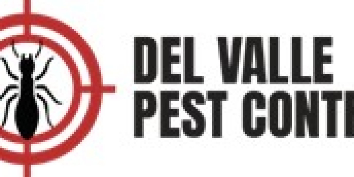 Termite Control in Pharr: Protecting Your Property from Hidden Destruction