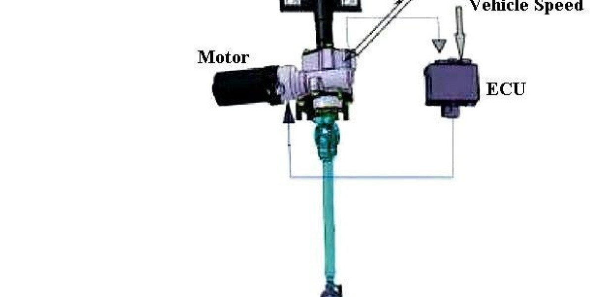 Driving the Future: Insights into the Electric Power Steering (EPS) System Market