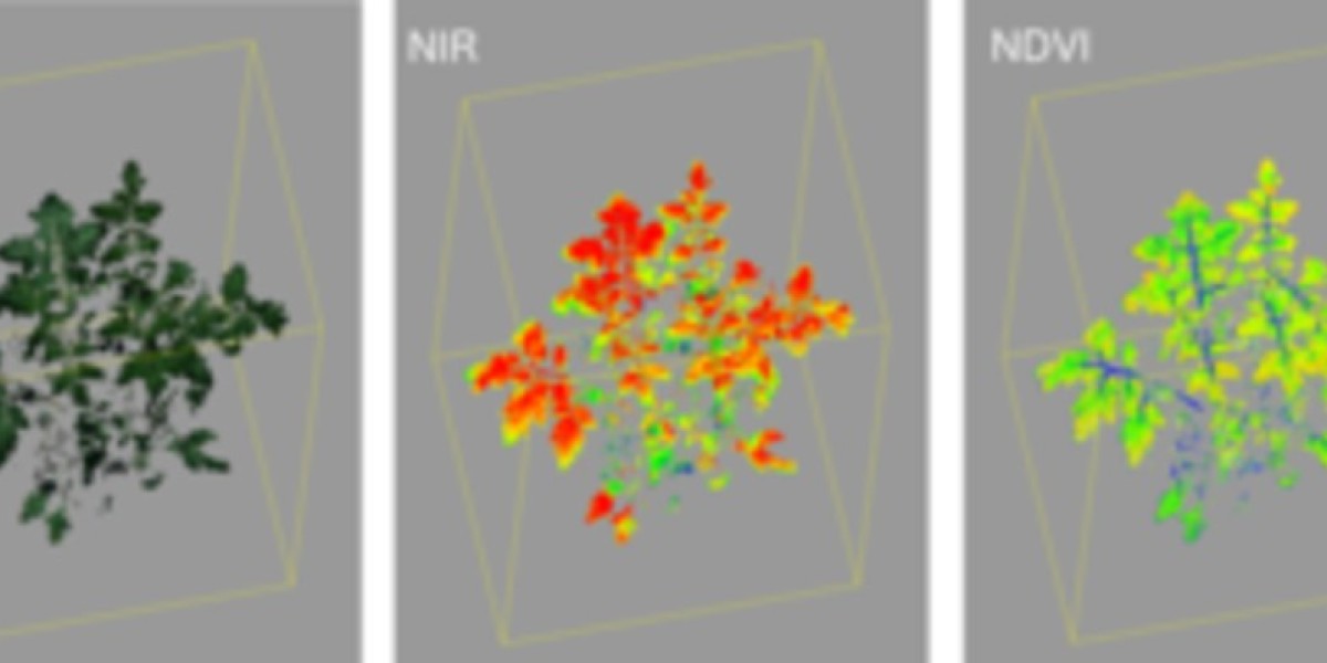 Plant Phenotyping Market Forecast to Achieve USD 497.4 Million by 2033