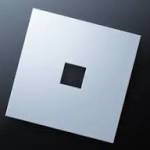 RobloxExpoits Profile Picture