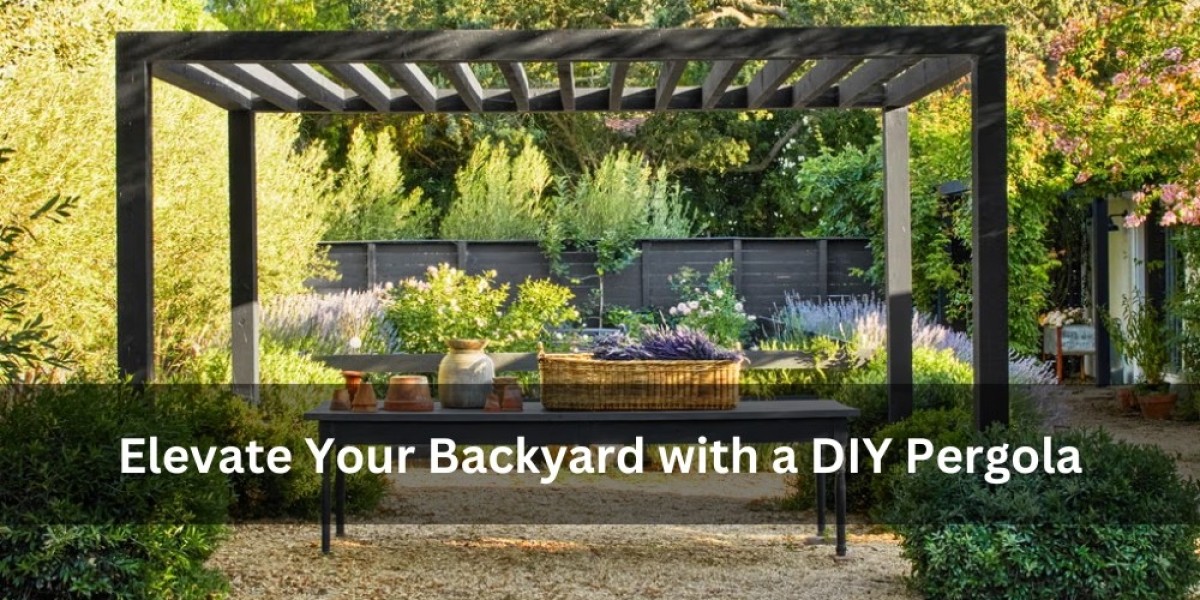 Elevate Your Backyard with a DIY Pergola