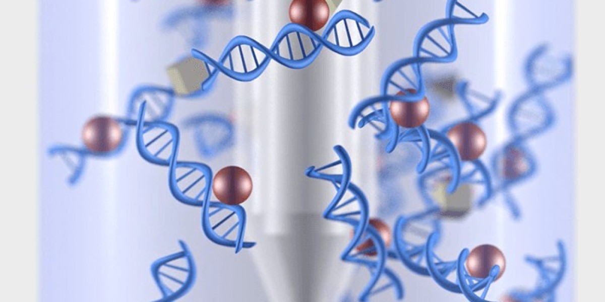 Nucleic Acid Isolation and Purification Market Size Report 2025-2033