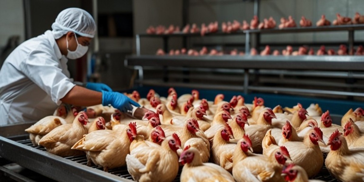 Poultry Processing Plant Report 2025: Business Plan, Capital Investments and Expenses