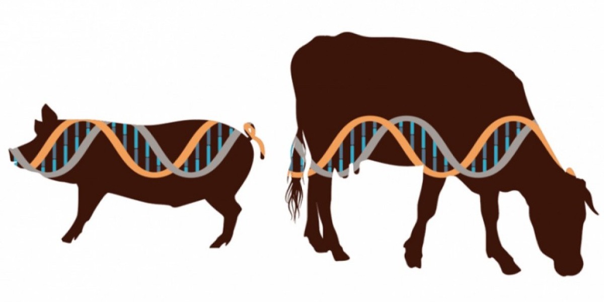 Animal Genetics Market Key Restraints Hindering Global Development And Expansion