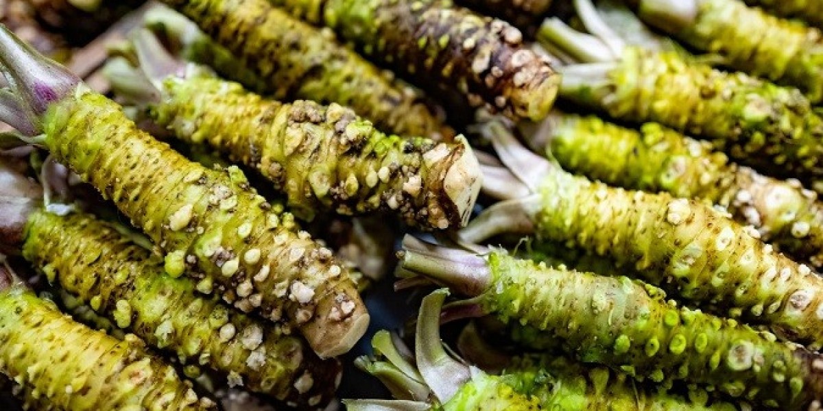 8 Key Factors to Establish a Successful Wasabi Processing Plant: Raw Materials Requirement