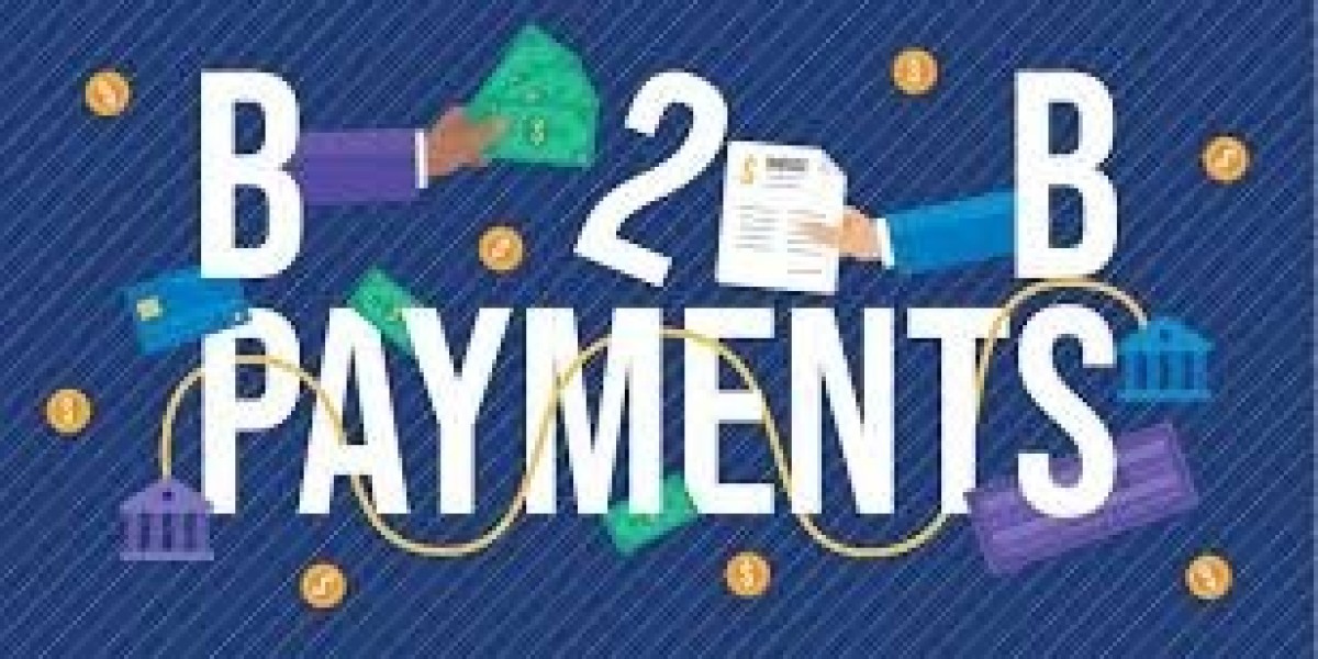 U.S. B2b Payments Market Size, Industry Trends, Share, Growth and Report 2025-2033