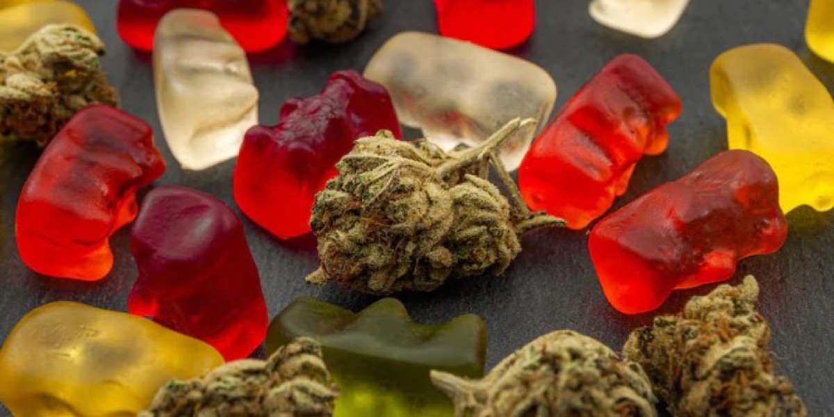 How CBD Gummies Can Enhance Your Wellness Routine