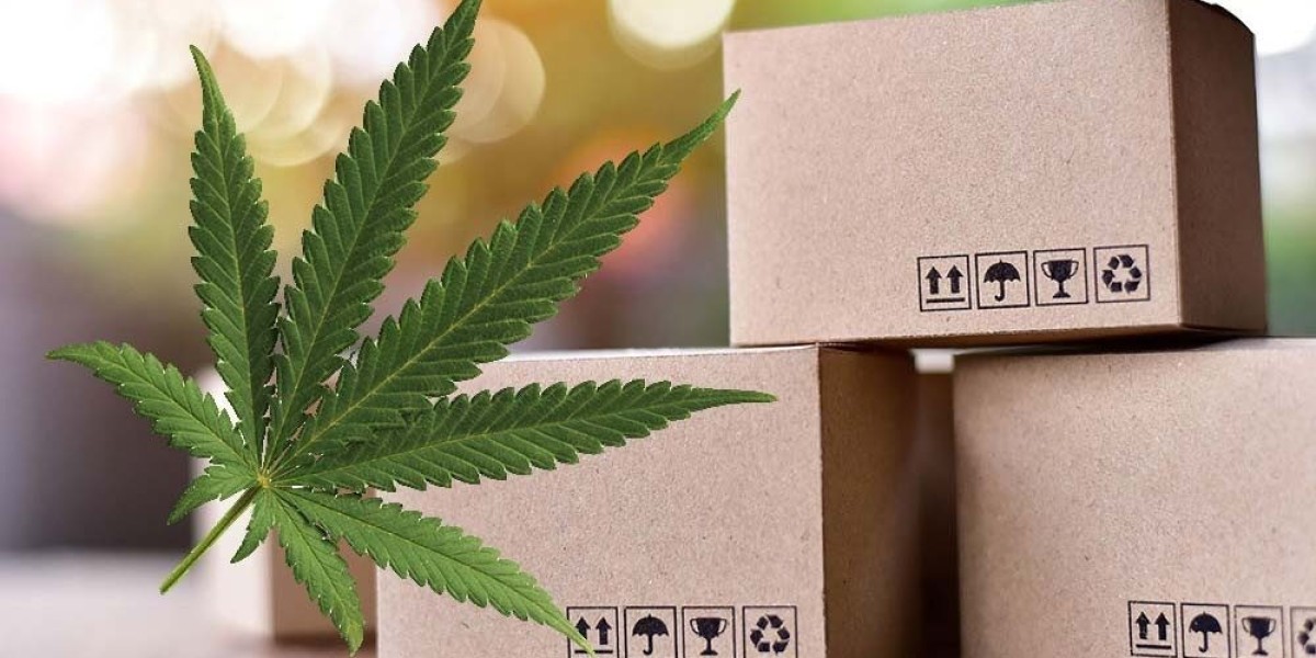 Hemp-based Packaging Market Current Scenario Trends, Comprehensive Analysis and Regional Forecast 2033