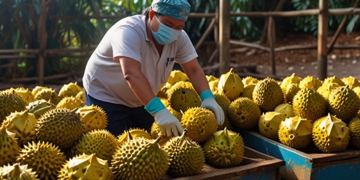 Roadmap for Setting up a Durian Processing Plant Project | Report by IMARC Group