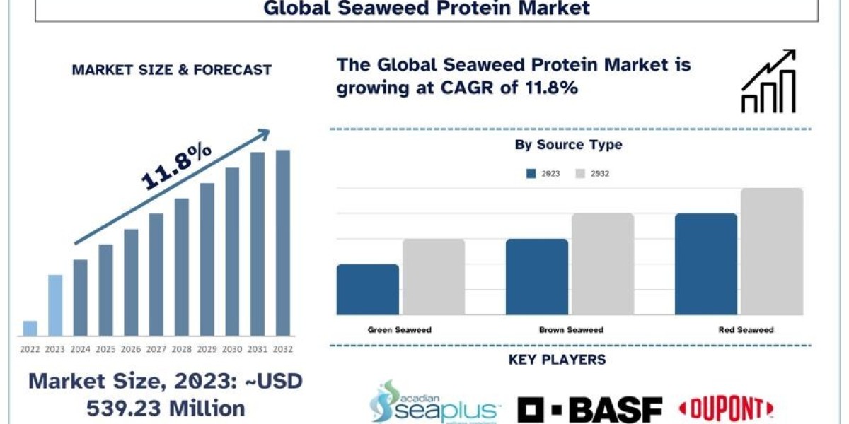 Seaweed Protein Market Analysis by Size, Share, Growth, Trends, Opportunities and Forecast (2024-2032)