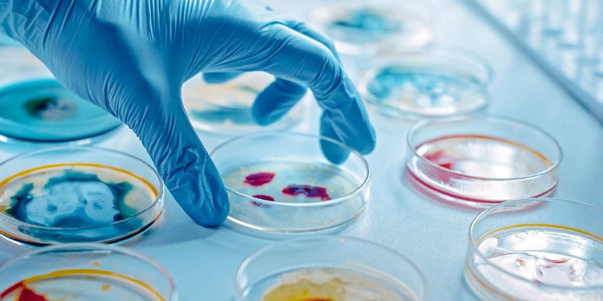 Antimicrobial Susceptibility Test Market Research Highlighting Segmentation And Future Prospects