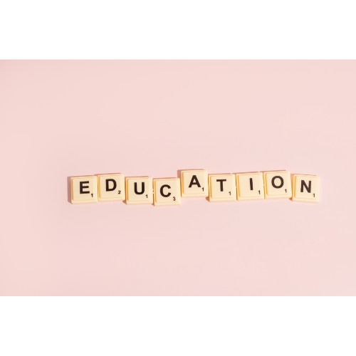 Education Adviser