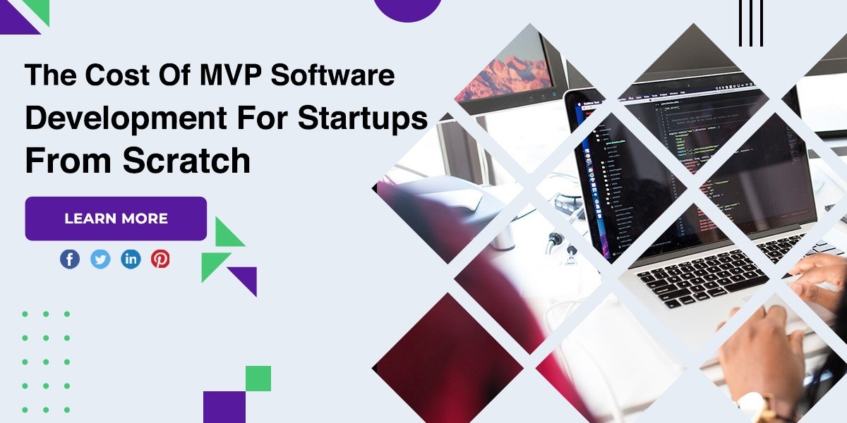 The Cost Of MVP Software Development For Startups From Scratch