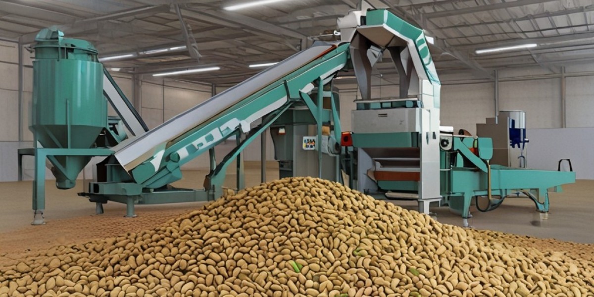 Pistachios Processing Plant Setup | Project Report 2024, Machinery Cost and Business Plan